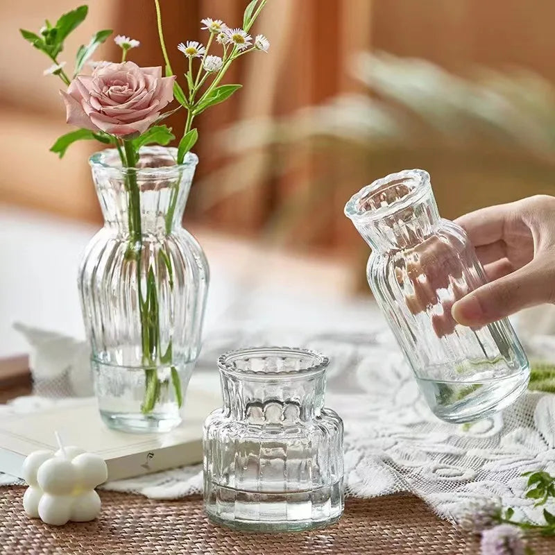 vases verre transparent rayés classiques decoration intérieure salon chambre floral hydroponique