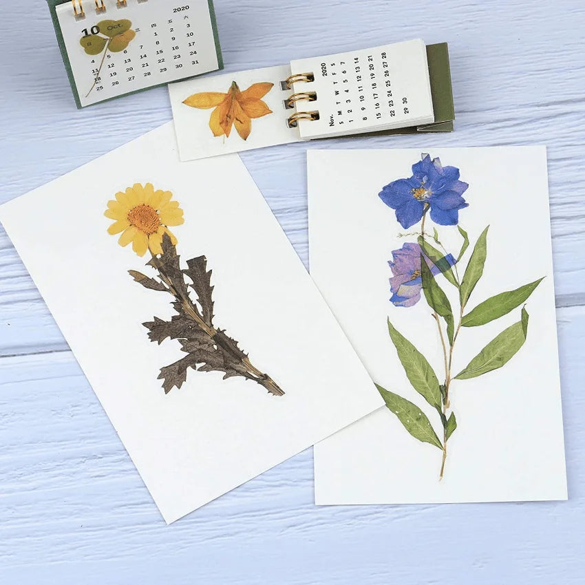 autocollants fleurs séchées multicolores feuilles pétales artisanal stickers cartes postales calendrier boîte sac
