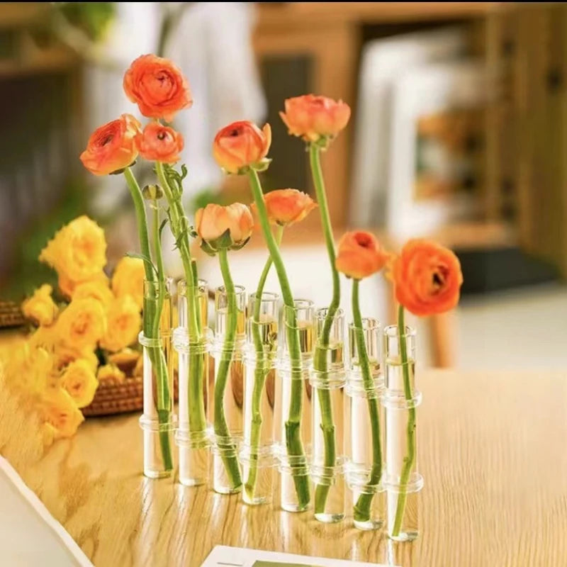 vases verre transparents modernes miniatures suspension décoration maison hydroponie plantes aquarium