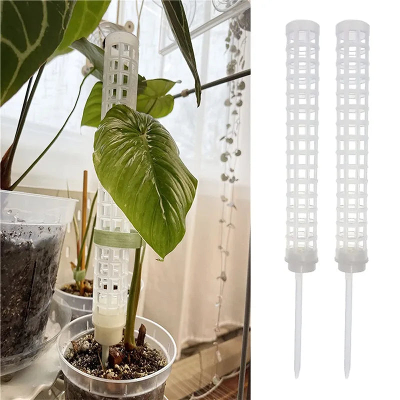 support plante plastique blanc moderne grille mailles régulières insertion sol
