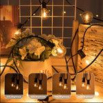 guirlande lumineuse led ampoules globe vintage décoration maison 220v 100ft 30mètres