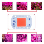 plaque led cob 20w 30w 50w blanc full spectrum smart ic éclairage moderne diy