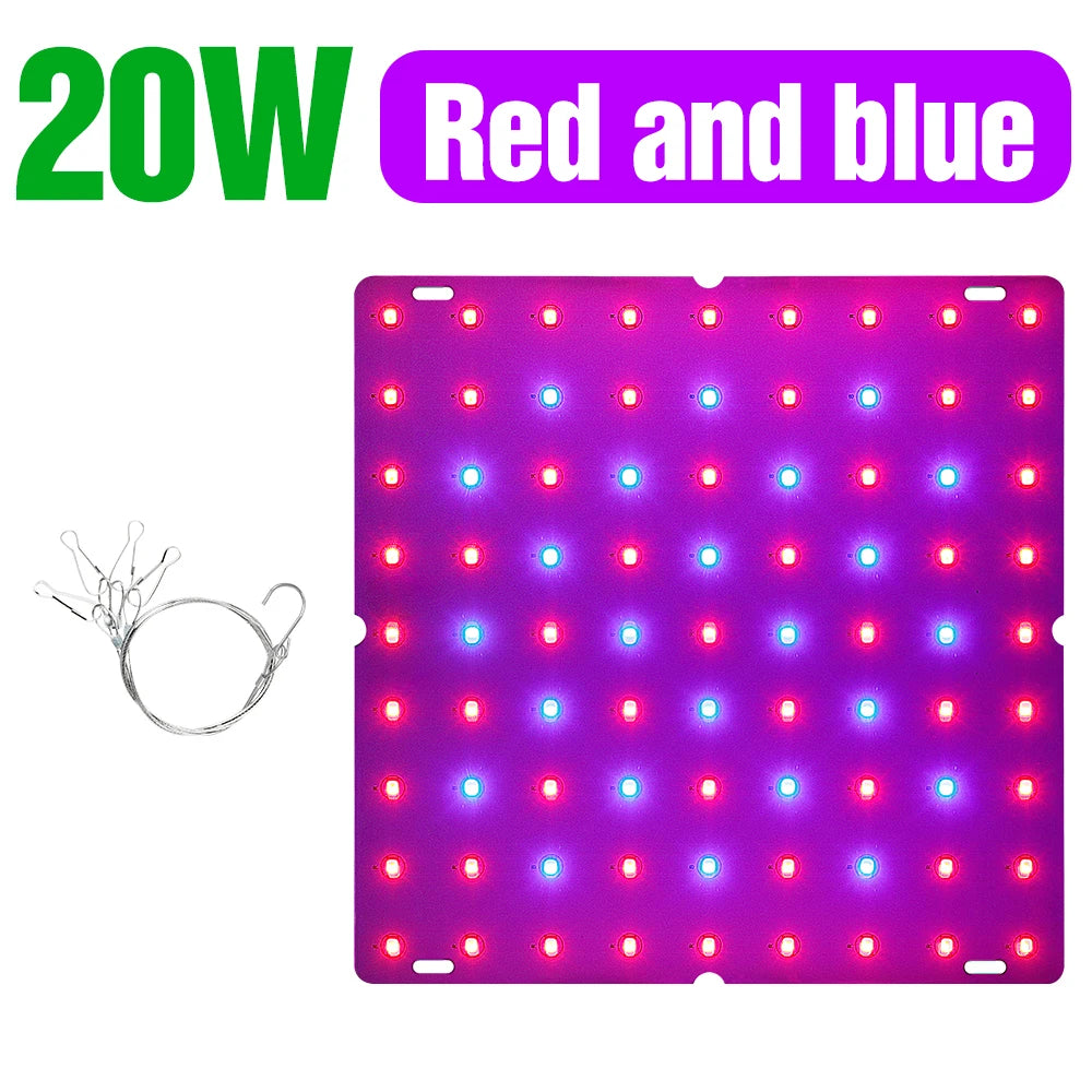 lampe led culture plantes rose rouge bleu moderne grille led crochets adaptateurs eu us