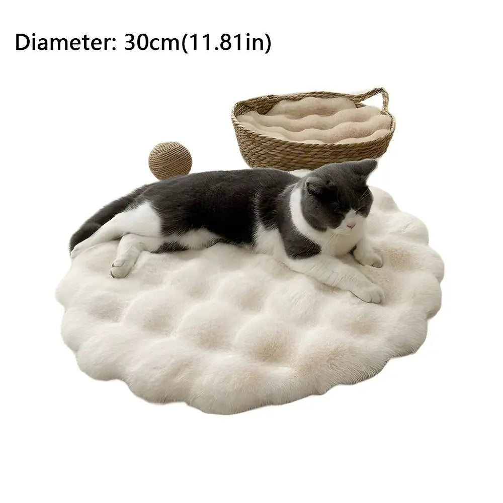 coussin chat gris clair doux peluche lavable moderne 30cm beige rose pale