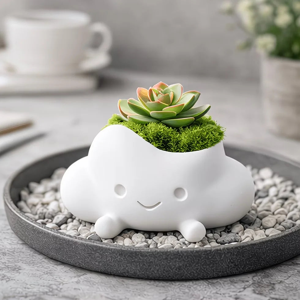 pots fleurs forme nuage souriant couleurs blanc rose jaune mignon cartoon succulente mousse