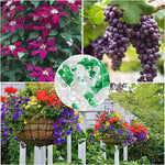 pinces plantes réglables 270 degrés plastique vert modernes pratique jardins culture