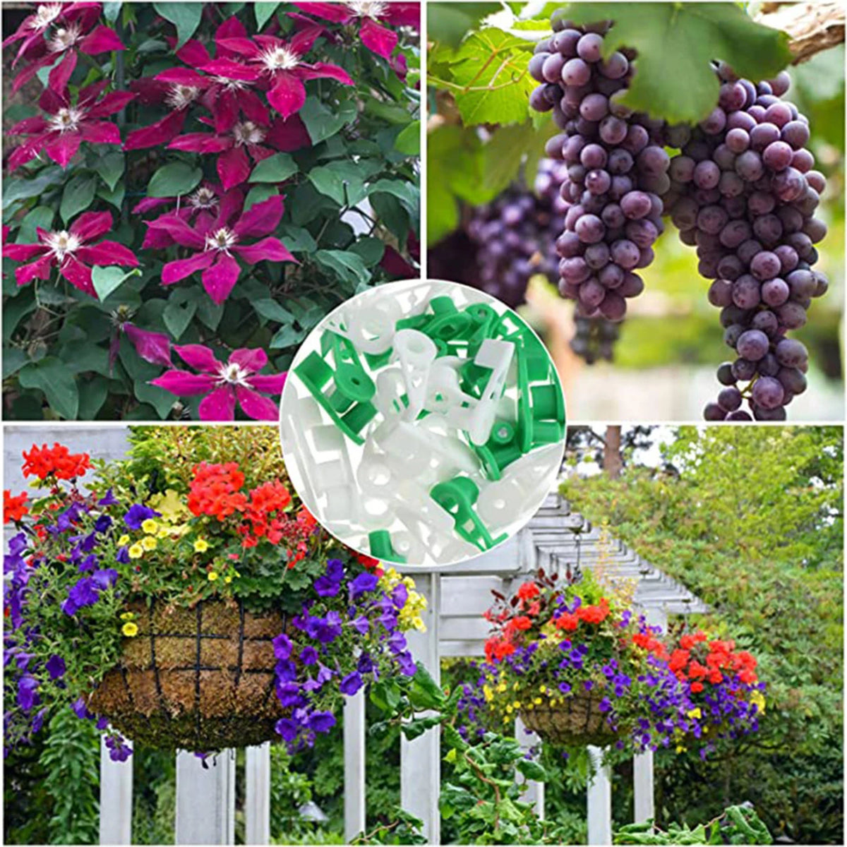 pinces plantes réglables 270 degrés plastique vert modernes pratique jardins culture