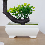 décoration intérieure bonsaï artificiel vert violet orange noir pot blanc mousse verte classique table