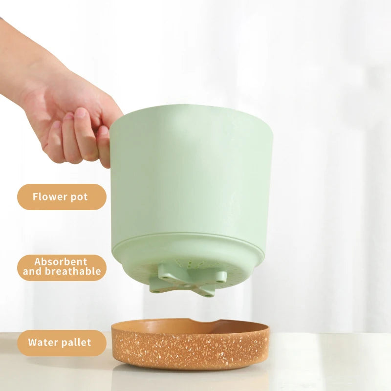 Pots fleurs modernes bacs pépinière bord cuir naturel vert clair blanc gris absorbant minimaliste