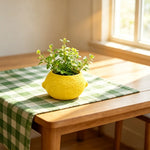 cache pot moderne plastique jaune texture citron plantes succulentes intérieur extérieur 6.8cm 5.3cm 8cm