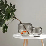 vase verre moderne transparent simple grande bouche table salon fleur hydroponie ornement double usage