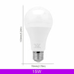 ampoule led e27 basse tension 12v 85v blanc froid chaud décoration salon moderne