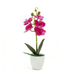 Orchidée artificielle rose pot blanc fleurs blanches intérieur décoration moderne salon événement