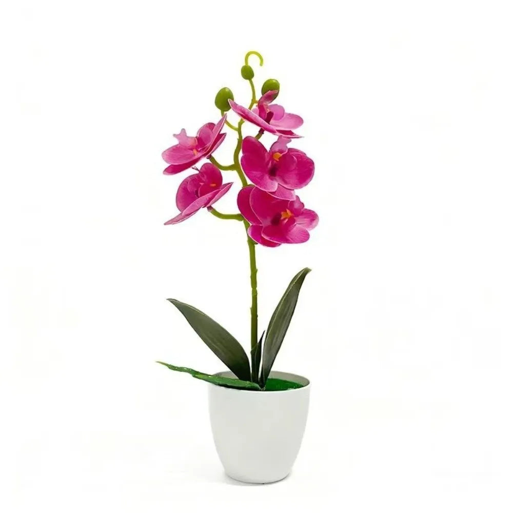 Orchidée artificielle rose pot blanc fleurs blanches intérieur décoration moderne salon événement