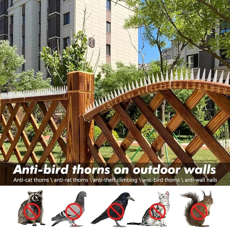 anti oiseaux pointes coniques protection jardin blanc noir moderneextérieur sécurité avifaune
