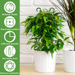 treillis support plantes grimpantes vert foncé structure grille 12 pièces pots fleurs décoration jardin