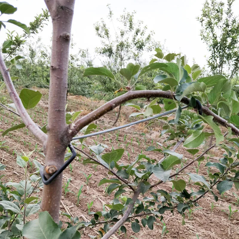 crochet jardinage métal noir argenté support branches d'arbre fruitier extérieur