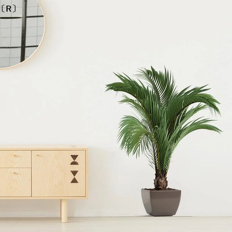 plantes artificielles vertes feuilles fines moderne décoration murale sans cadre chambre salon