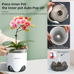 pots orchidées modernes blancs transparents 15cm 12cm 10cm aircone racines rebondissement
