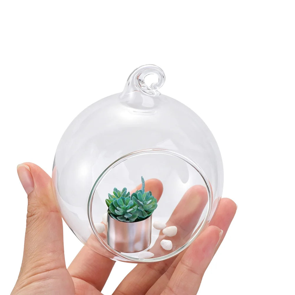 terrariums suspendus transparents verre moderne plante succulente galets blancs 10 12 15 cm