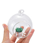 terrariums suspendus transparents verre moderne plante succulente galets blancs 10 12 15 cm