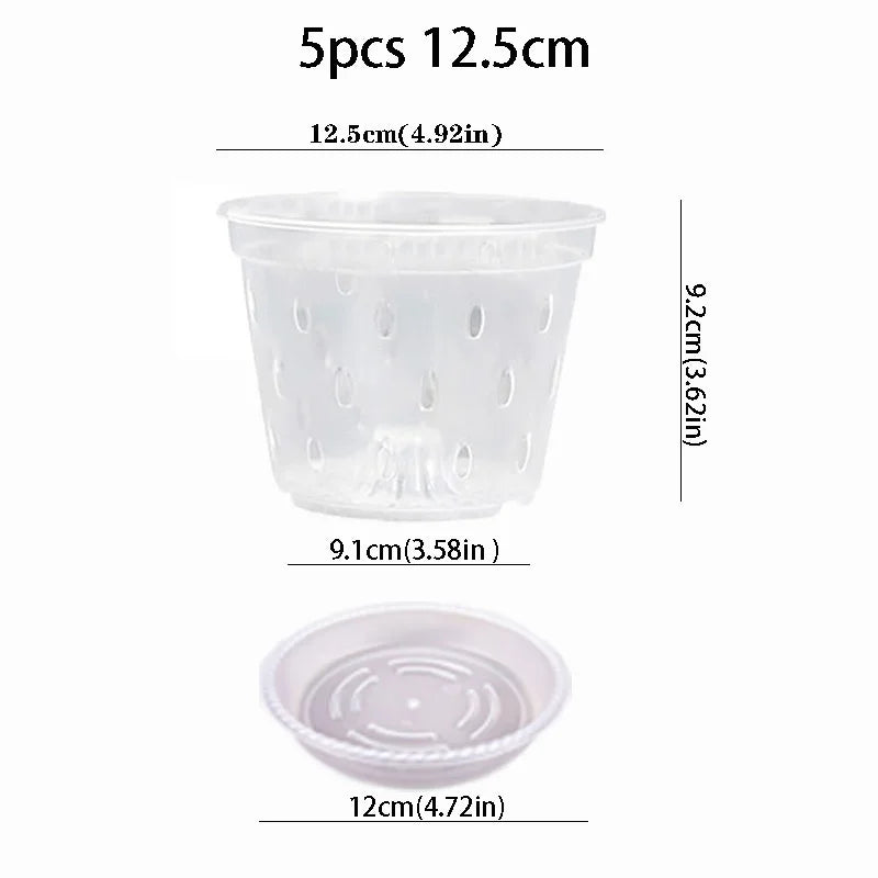 pots plantes transparents perforés modernes plateaux 11 12.5 14 15 17cm orchidées