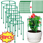 support plante spirale vert moderne clips assemblage facile jardin balcon vert