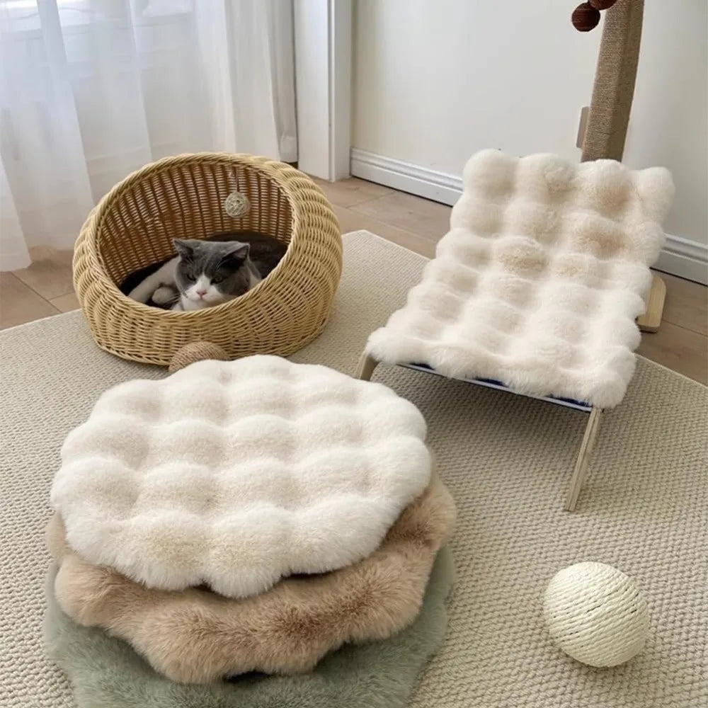 coussin chat gris clair doux peluche lavable moderne 30cm beige rose pale
