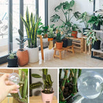 arroseur bille auto plant watering kit pvc moderne 1pc vert transparent pratique