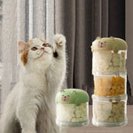 boîtes rangement aliments animaux compagnie moderne visage mignon couleur beige vert jaune étanches humidité