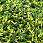 décoration intérieure herbes aromatiques séchées boîte bambou étui tissu pompons