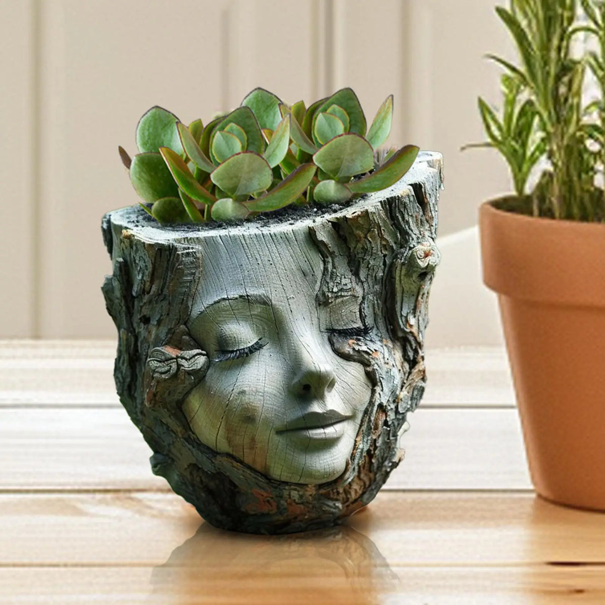 vase forme visage féminin succulentes aspect écorce arborescente décoration extérieure plantes vertes meubles boissons