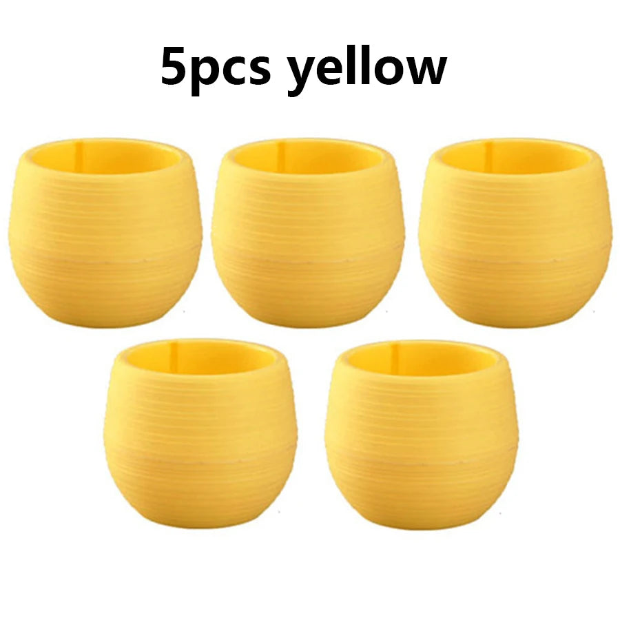 pots fleurs succulentes drainants couleur aléatoire rayures modernes transparents petite plante jardinière echangable