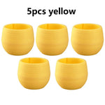 pots fleurs succulentes drainants couleur aléatoire rayures modernes transparents petite plante jardinière echangable