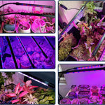 lampe led plante noire controle luminosite bouton alimentation bras flexibles clips moderne