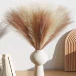 plumes séchées naturelles rustiques modernes beige rose blanc bleu décoration extérieure fête mariage
