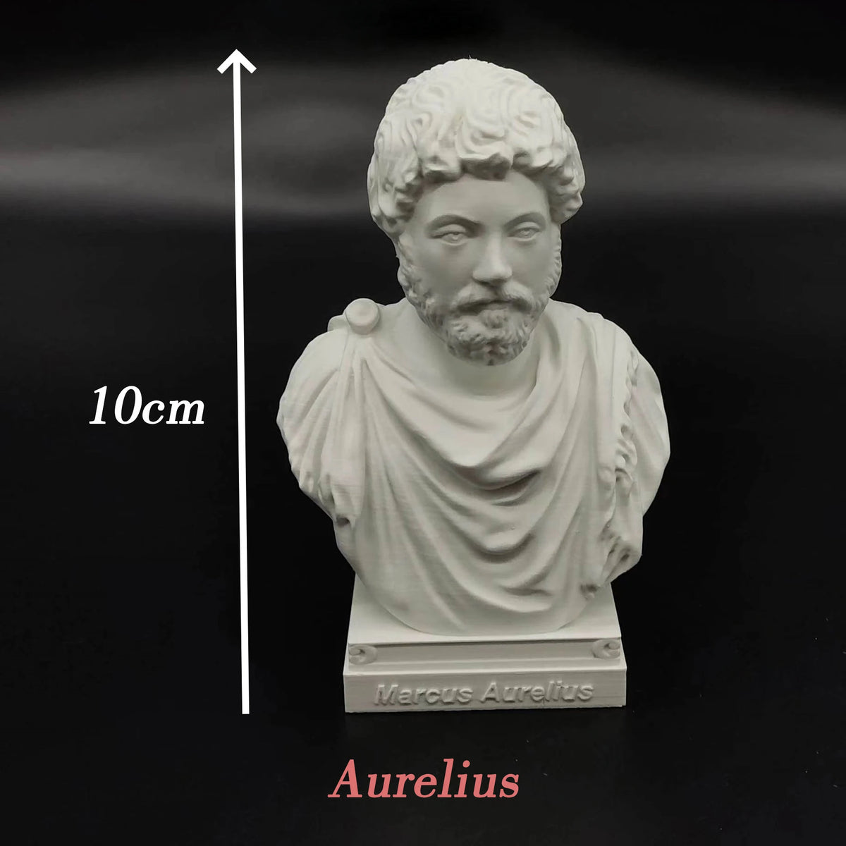 statues romaines antiques blanc bustes historiques détails classiques socle carré blanc