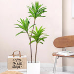 plantes artificielles arbres vertes feuilles modernes decoration exterieur pot blanc sol brunes