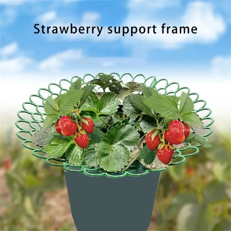 support fraisiers vert moderne grille géométrique opacité hauteur 4cm 26cm large