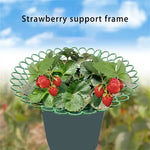 support fraisiers vert moderne grille géométrique opacité hauteur 4cm 26cm large