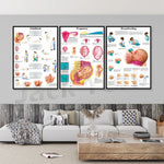 Ce triptyque éducatif présente de manière détaillée les étapes clés de la grossesse, de l'accouchement et de l'allaitement, offrant une représentation visuelle et informative sur ces sujets importants.