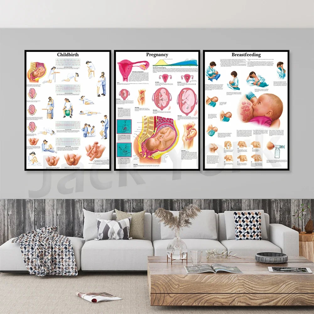 Ce triptyque éducatif présente de manière détaillée les étapes clés de la grossesse, de l'accouchement et de l'allaitement, offrant une représentation visuelle et informative sur ces sujets importants.
