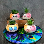 cache pot cartoon visage animé blanc rose jaune noir succulente décoration table adultes unisexe