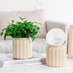 pots plante hydroponique transparent gris moderne minimaliste ridges verticales terre graines