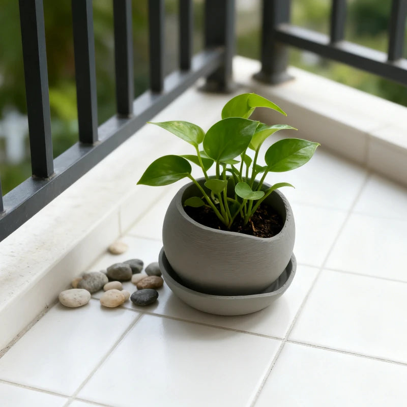 pots fleurs succulentes moderne plastique gris texturé drainage 1set maison