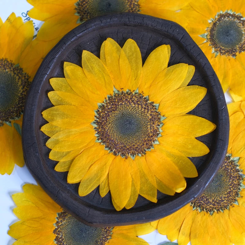 décoration intérieure tournesol séché fleur naturelle jaune rustique décoration maison artisanale semi translucide
