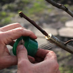 ruban adhésif transparent vert élastique souple auto adhésif support plantes jardin biodegradable