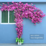guirlande fleurs artificielles rose vif extérieur décoration maison moderne piquets rotin 50 bougainvilliers
