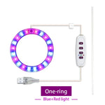 lumière croissance led usb rechargeable rose bleu blanc moderne minimaliste