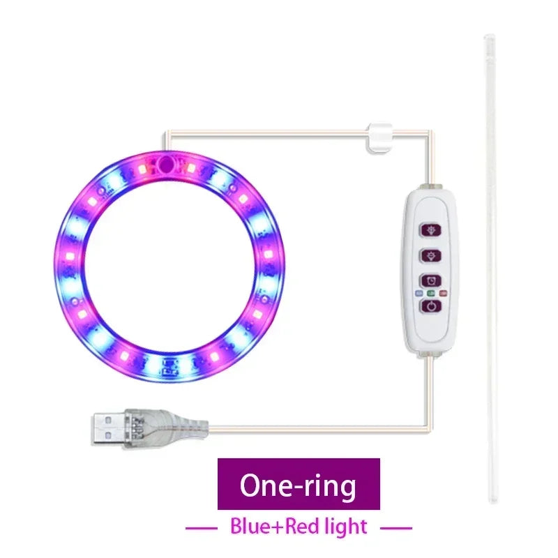 lumière croissance led usb rechargeable rose bleu blanc moderne minimaliste